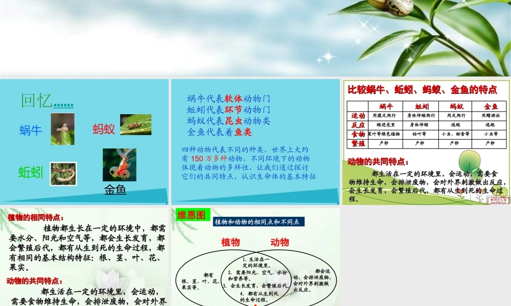 三年级科学上册 第二章 第4课 我们和动物有哪些相同和不同课件1 新人教版-新人教版小学三年级上册自然科学课件