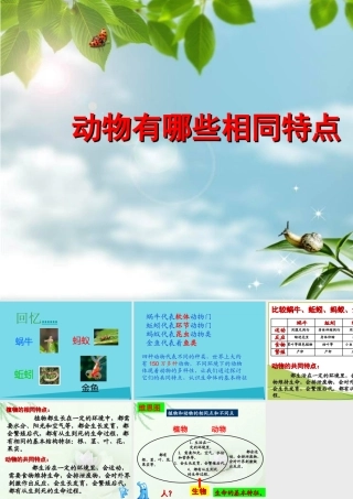 三年级科学上册 第二章 第4课 我们和动物有哪些相同和不同课件1 新人教版-新人教版小学三年级上册自然科学课件