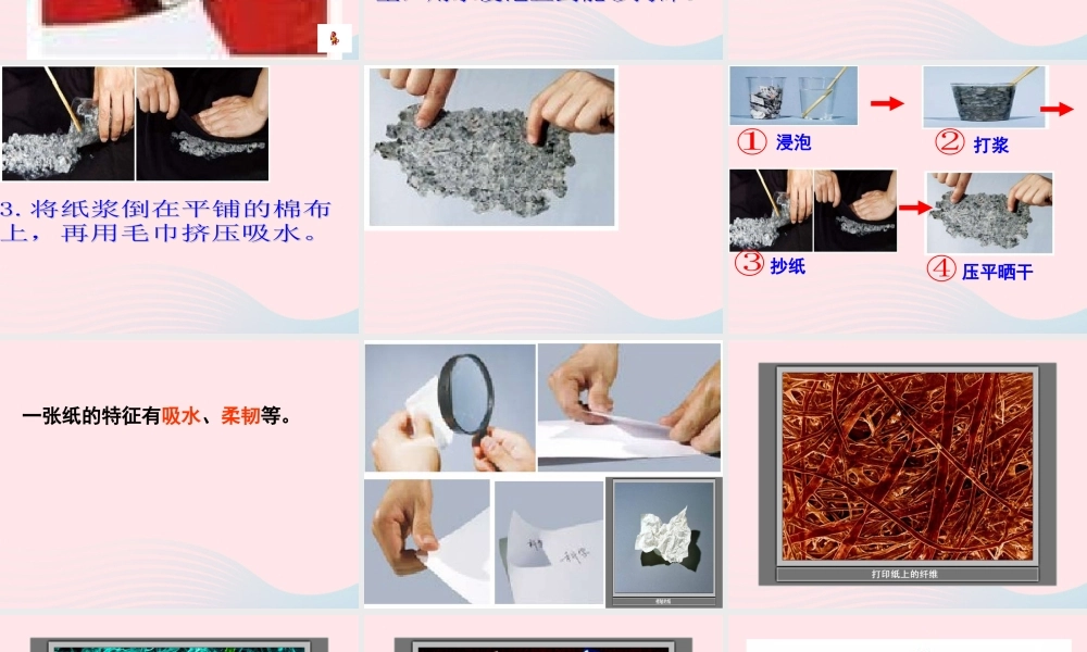 三年级科学上册 3.4《它们吸水吗》课件（4） 教科版-教科版小学三年级上册自然科学课件