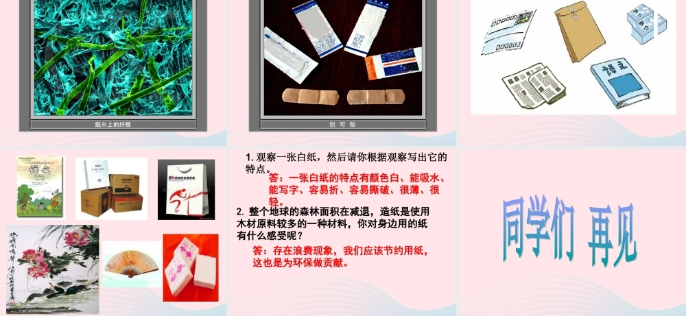 三年级科学上册 3.4《它们吸水吗》课件（4） 教科版-教科版小学三年级上册自然科学课件