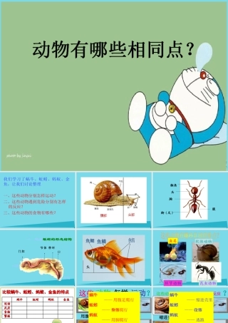 三年级科学上册 第二章 第4课 我们和动物有哪些相同和不同课件2 新人教版-新人教版小学三年级上册自然科学课件