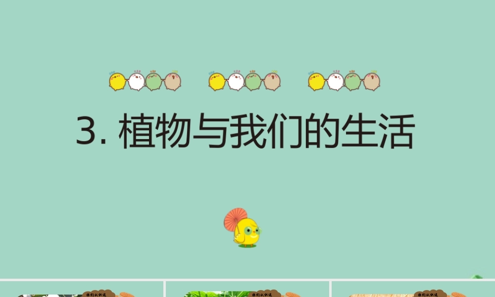 三年级科学下册 第1单元 生物资源 1.3 植物与我们的生活课件 冀人版-人教版小学三年级下册自然科学课件