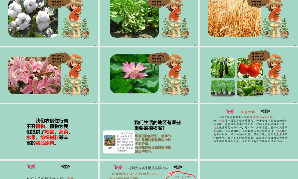 三年级科学下册 第1单元 生物资源 1.3 植物与我们的生活课件 冀人版-人教版小学三年级下册自然科学课件