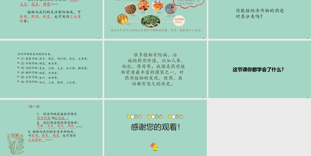 三年级科学下册 第1单元 生物资源 1.3 植物与我们的生活课件 冀人版-人教版小学三年级下册自然科学课件