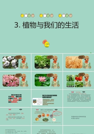 三年级科学下册 第1单元 生物资源 1.3 植物与我们的生活课件 冀人版-人教版小学三年级下册自然科学课件