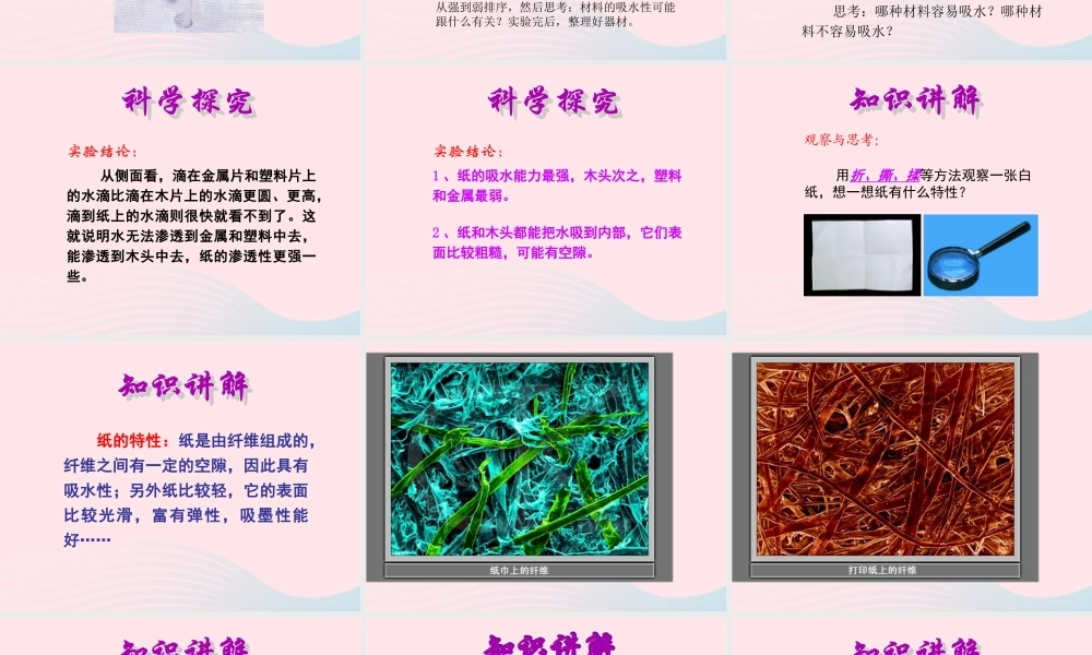 三年级科学上册 3.4《它们吸水吗》课件（5） 教科版-教科版小学三年级上册自然科学课件