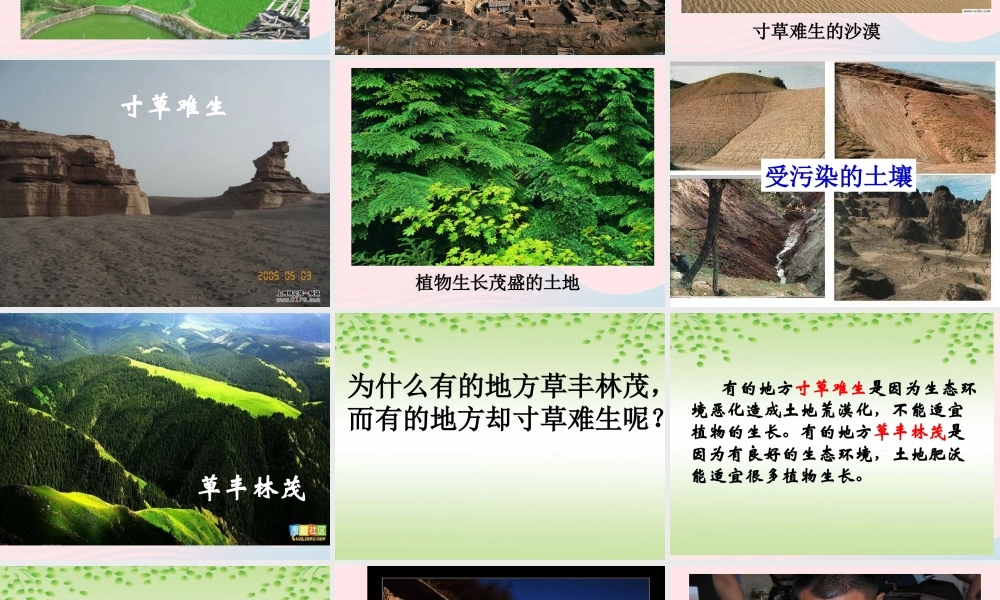 三年级科学上册 第7课《土壤的保护》课件（3） 冀教版-冀教版小学三年级上册自然科学课件