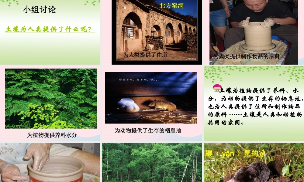 三年级科学上册 第7课《土壤的保护》课件（3） 冀教版-冀教版小学三年级上册自然科学课件