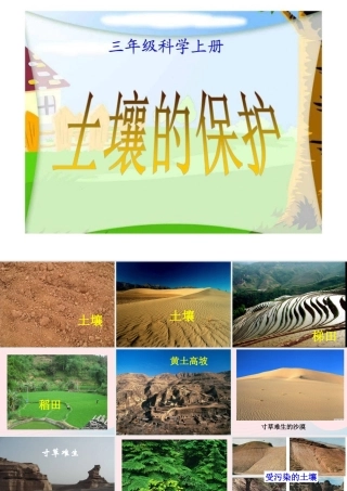 三年级科学上册 第7课《土壤的保护》课件（3） 冀教版-冀教版小学三年级上册自然科学课件