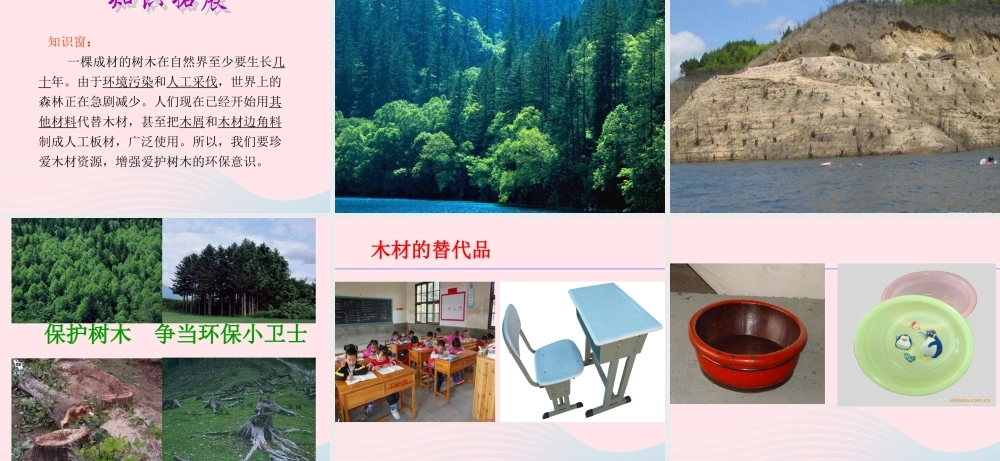 三年级科学上册 3.5《材料在水中的沉浮》课件（1） 教科版-教科版小学三年级上册自然科学课件