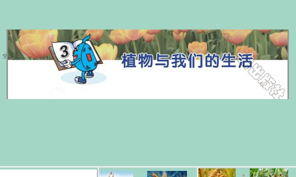 三年级科学下册 第1单元 生物资源 3 植物和我们的生活课件 冀人版-人教版小学三年级下册自然科学课件
