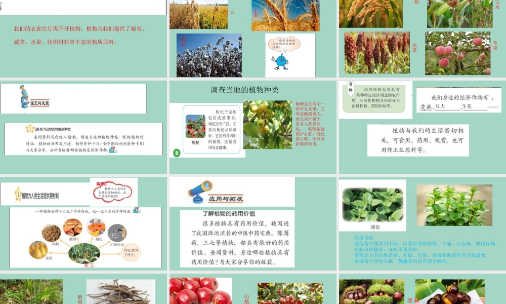 三年级科学下册 第1单元 生物资源 3 植物和我们的生活课件 冀人版-人教版小学三年级下册自然科学课件