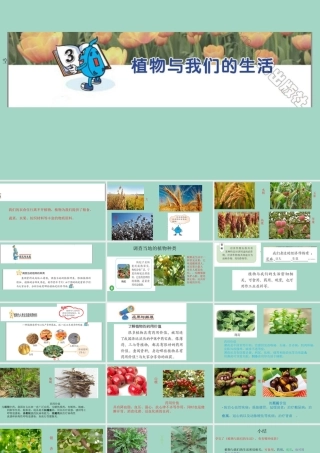 三年级科学下册 第1单元 生物资源 3 植物和我们的生活课件 冀人版-人教版小学三年级下册自然科学课件