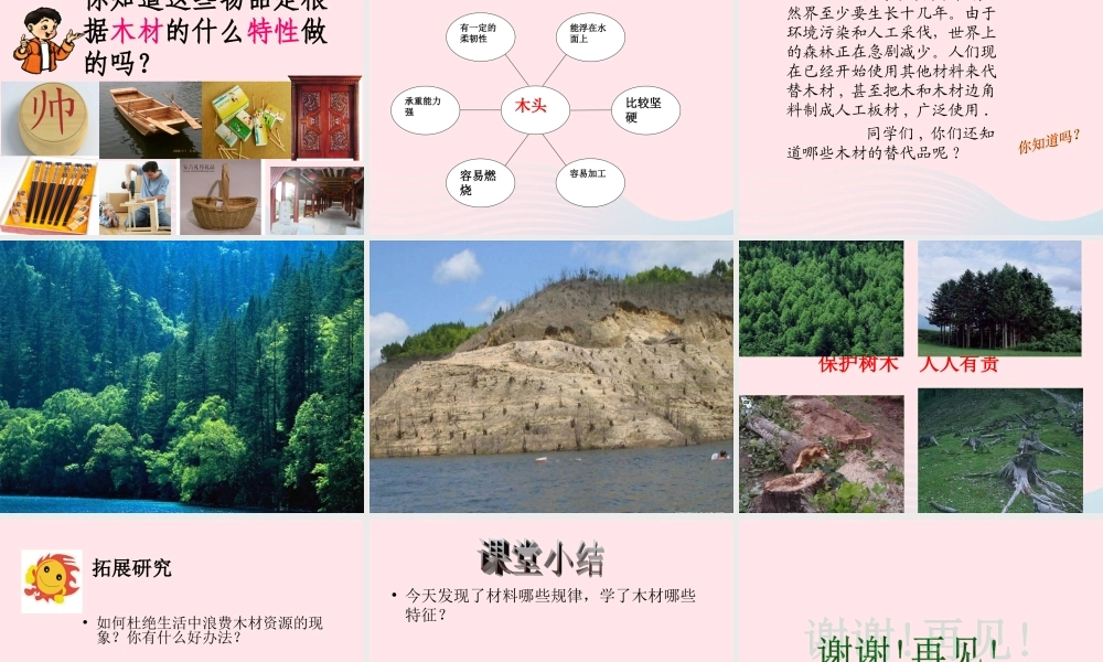 三年级科学上册 3.5《材料在水中的沉浮》课件（2） 教科版-教科版小学三年级上册自然科学课件