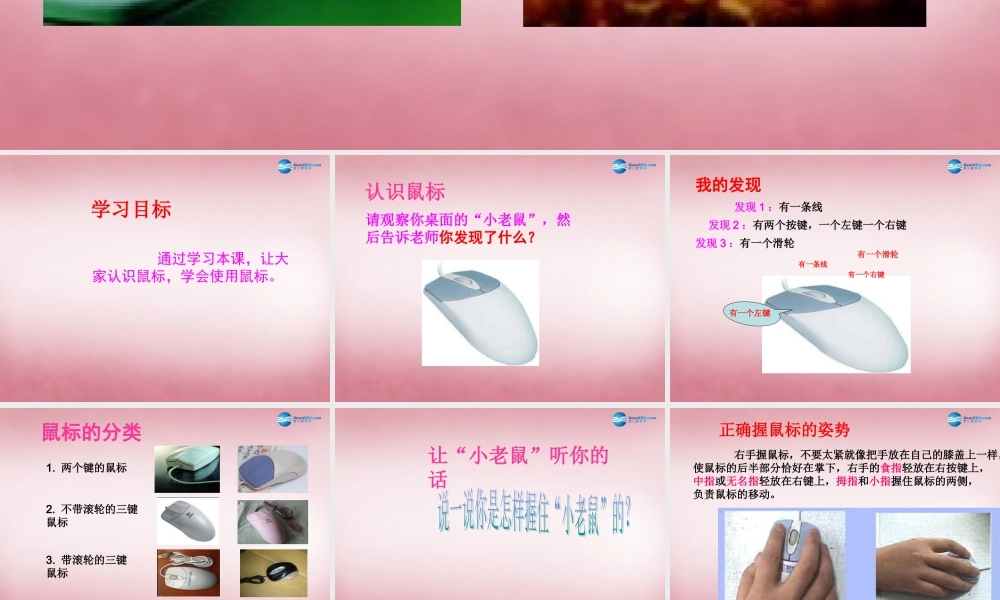 三年级信息技术上册 第3课 可爱的小老鼠课件 辽师大版（三起）