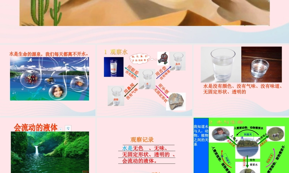 三年级科学上册 第8课《水与生命》课件（1） 冀教版-冀教版小学三年级上册自然科学课件