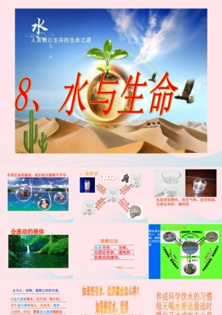 三年级科学上册 第8课《水与生命》课件（1） 冀教版-冀教版小学三年级上册自然科学课件