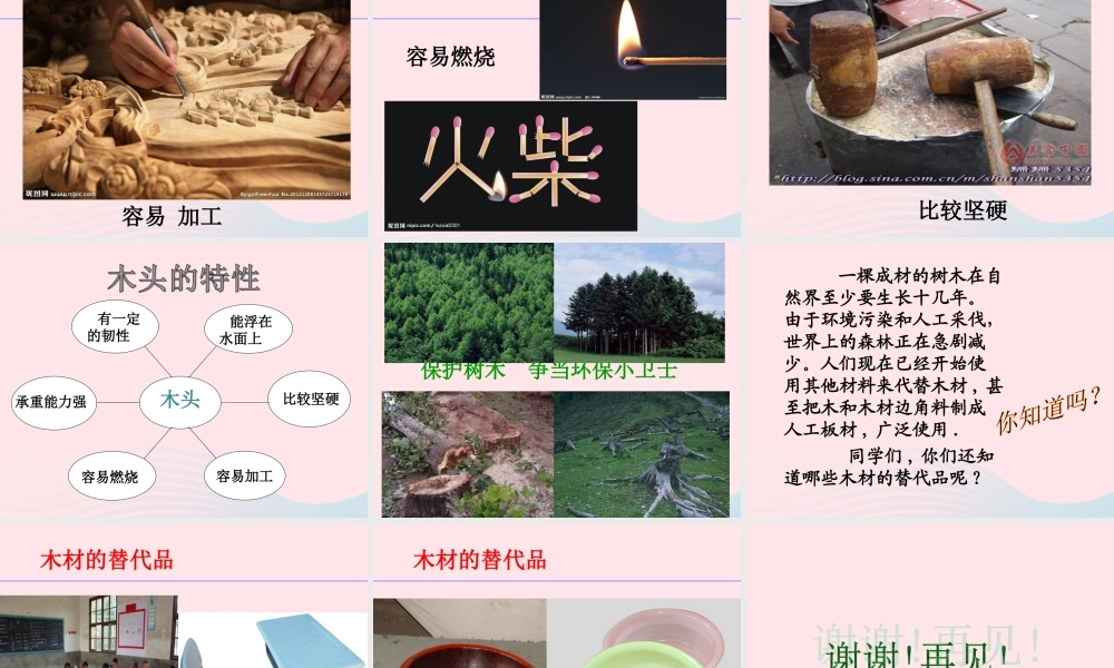 三年级科学上册 3.5《材料在水中的沉浮》课件（3） 教科版-教科版小学三年级上册自然科学课件