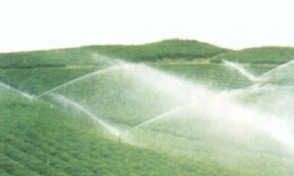 三年级科学上册 第8课《水与生命》课件（2） 冀教版-冀教版小学三年级上册自然科学课件