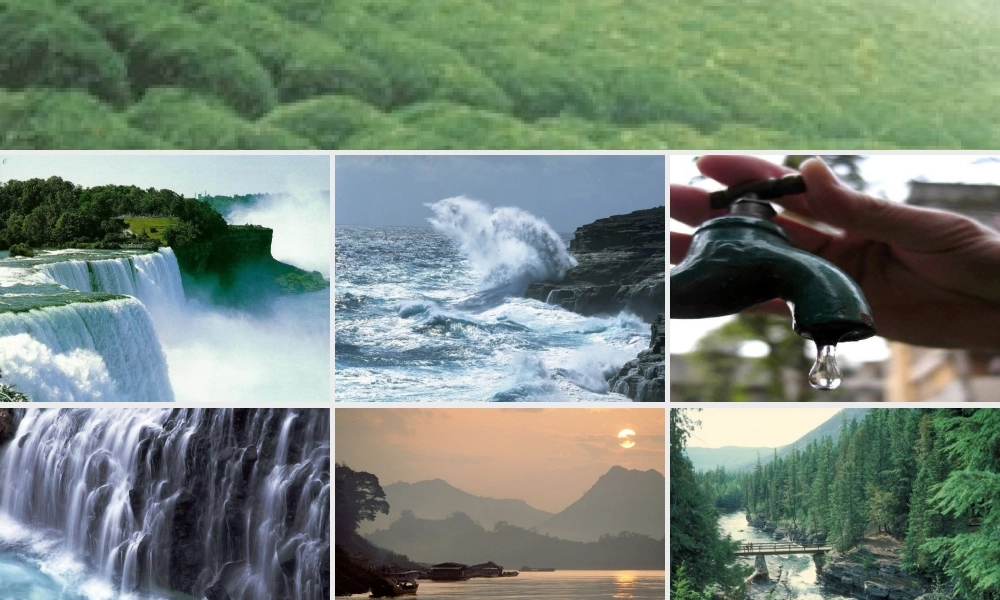 三年级科学上册 第8课《水与生命》课件（2） 冀教版-冀教版小学三年级上册自然科学课件