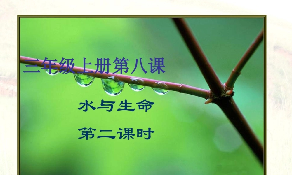 三年级科学上册 第8课《水与生命》课件（3） 冀教版-冀教版小学三年级上册自然科学课件