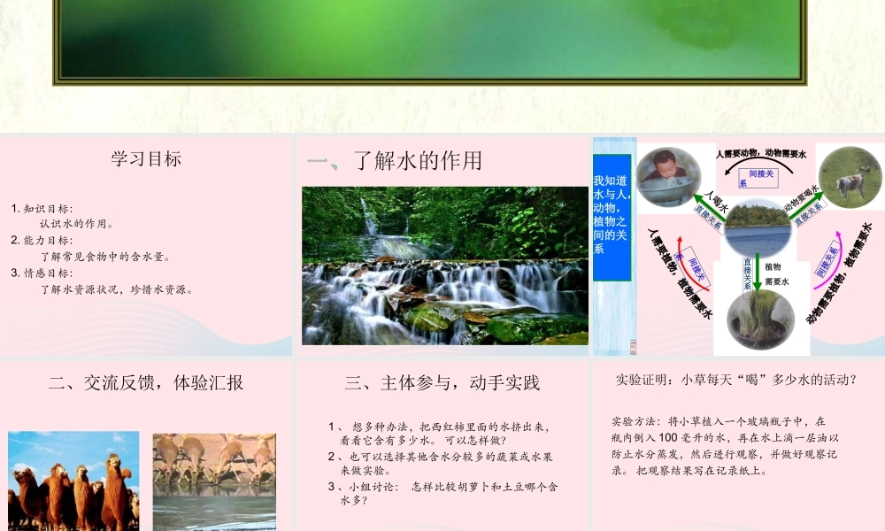 三年级科学上册 第8课《水与生命》课件（3） 冀教版-冀教版小学三年级上册自然科学课件