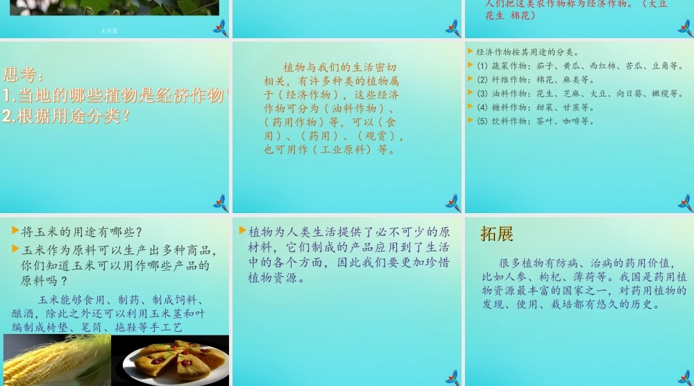 三年级科学下册 第1单元 生物资源 3 植物和我们的生活课件1 冀人版-人教版小学三年级下册自然科学课件