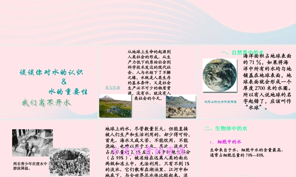 三年级科学上册 第8课《水与生命》课件（4） 冀教版-冀教版小学三年级上册自然科学课件