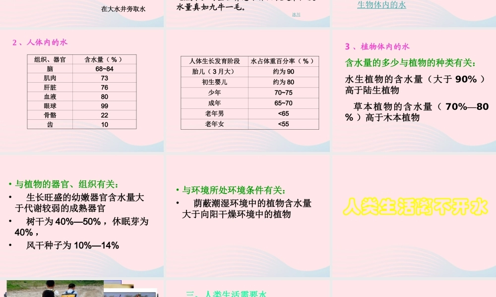 三年级科学上册 第8课《水与生命》课件（4） 冀教版-冀教版小学三年级上册自然科学课件