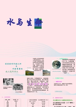 三年级科学上册 第8课《水与生命》课件（4） 冀教版-冀教版小学三年级上册自然科学课件