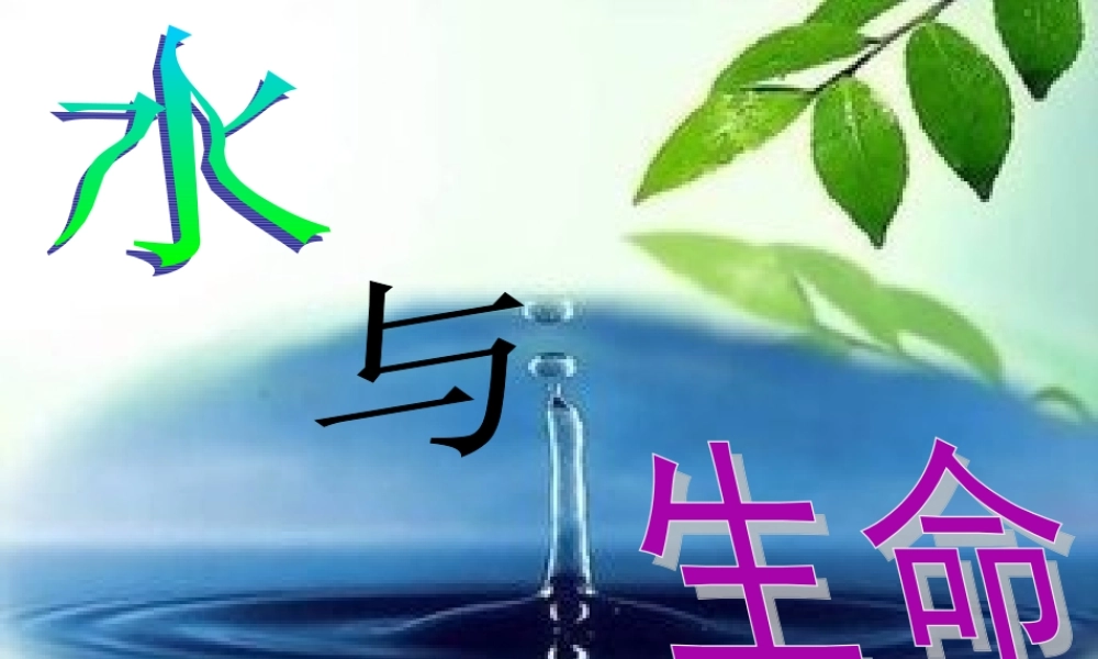 三年级科学上册 第8课《水与生命》课件（5） 冀教版-冀教版小学三年级上册自然科学课件