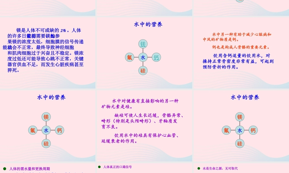 三年级科学上册 第8课《水与生命》课件（5） 冀教版-冀教版小学三年级上册自然科学课件