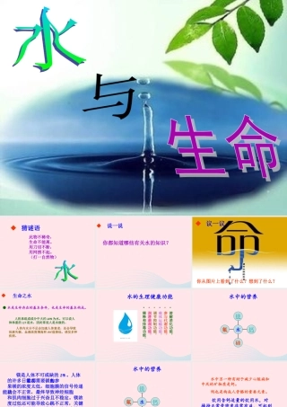 三年级科学上册 第8课《水与生命》课件（5） 冀教版-冀教版小学三年级上册自然科学课件