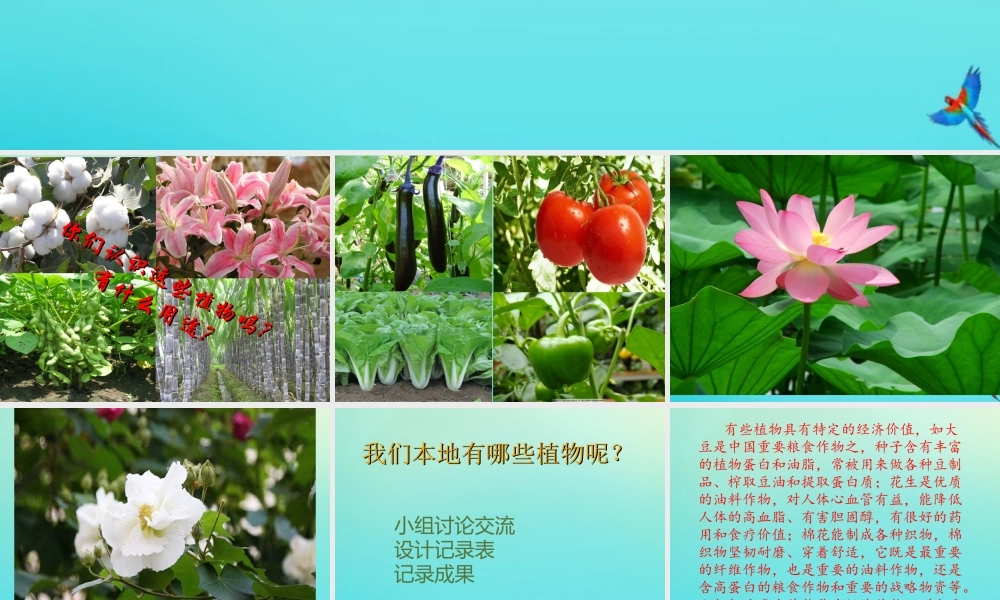 三年级科学下册 第1单元 生物资源 3 植物和我们的生活课件2 冀人版-人教版小学三年级下册自然科学课件