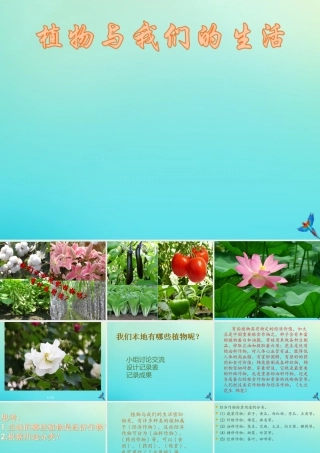 三年级科学下册 第1单元 生物资源 3 植物和我们的生活课件2 冀人版-人教版小学三年级下册自然科学课件