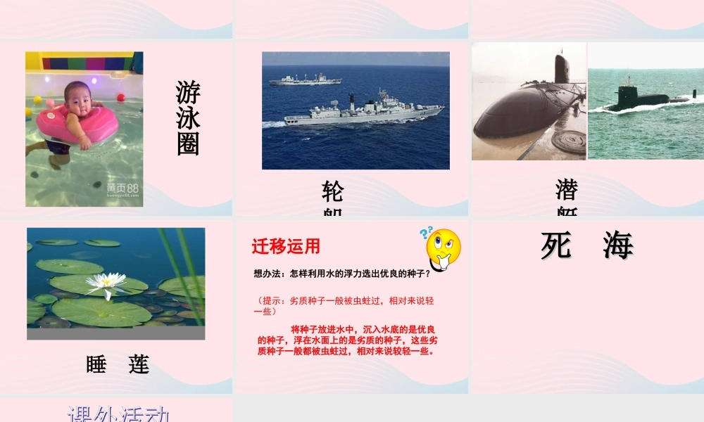 三年级科学上册 第9课《浮与沉》课件（2） 冀教版-冀教版小学三年级上册自然科学课件