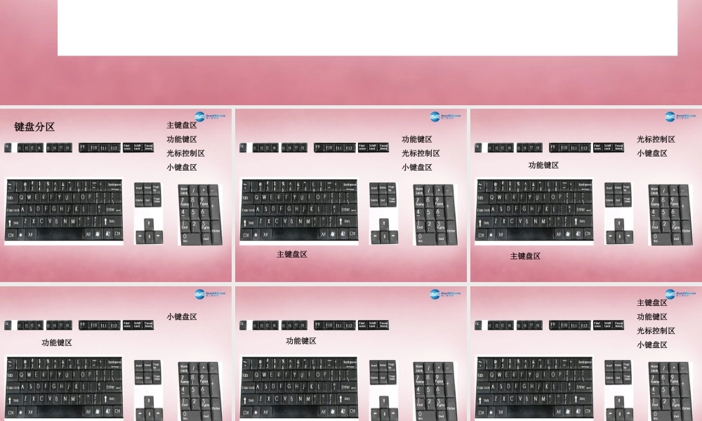 三年级信息技术上册 第5课 认识键盘课件 辽师大版（三起）