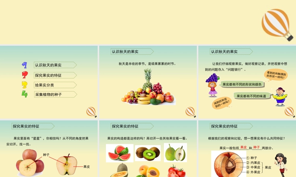 三年级科学上册 第三单元 秋天 一幅美丽的图画 2 《果实累累的季节》教学课件 大象版-大象版小学三年级上册自然科学课件