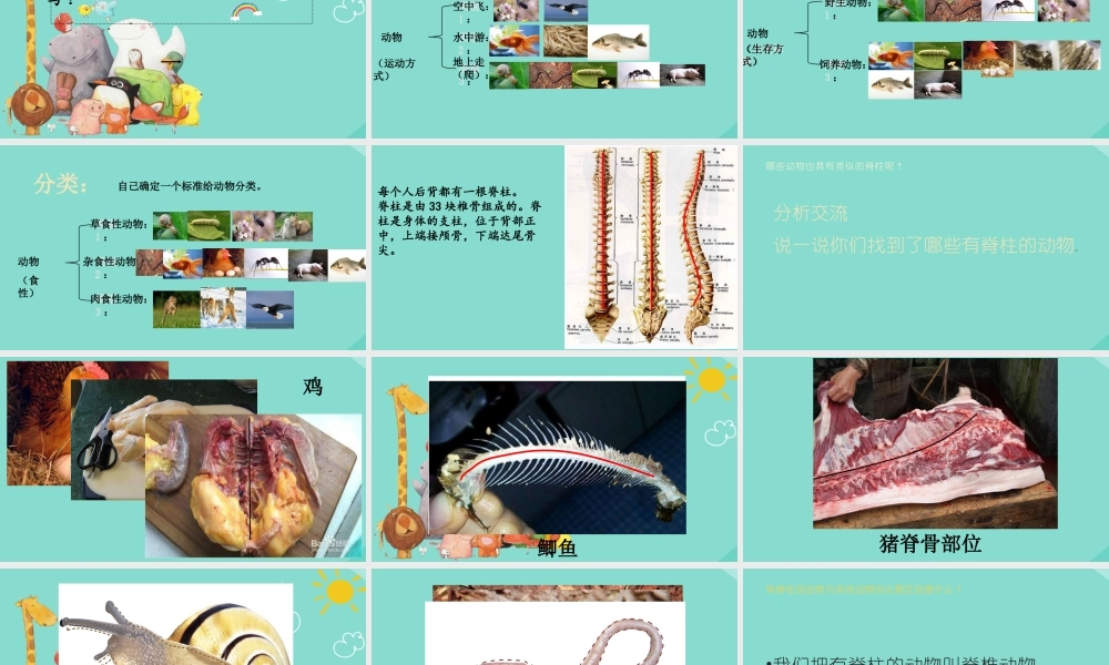三年级科学下册 第1单元 生物资源 4 种类繁多的动物课件 冀人版-人教版小学三年级下册自然科学课件