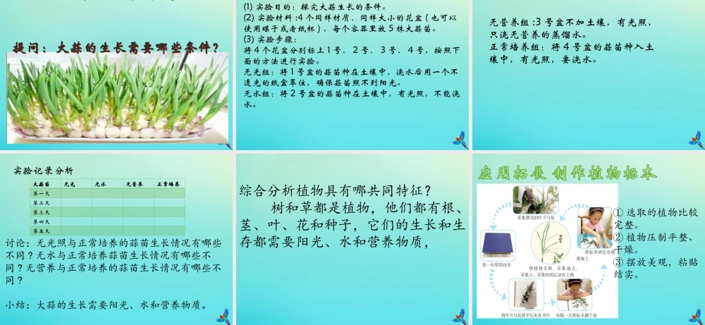 三年级科学下册 第1单元 生物资源 第二课 树与草课件 冀人版-人教版小学三年级下册自然科学课件