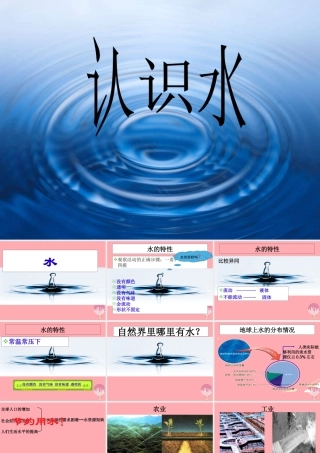 三年级科学上册 4.1 认识水课件1 青岛版五四制-青岛版小学三年级上册自然科学课件