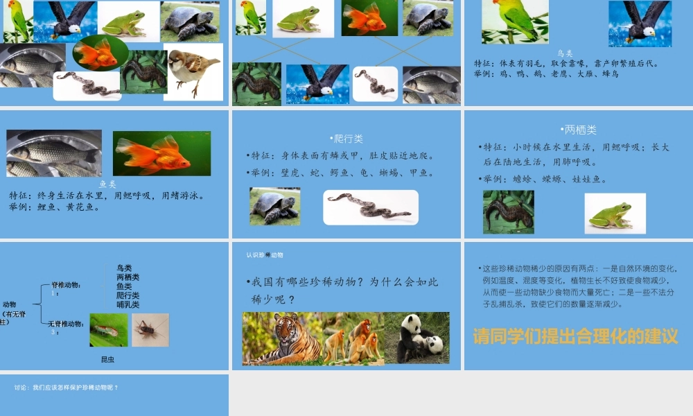 三年级科学下册 第1单元 生物资源 第四课 种类繁多的动物课件1 冀人版-人教版小学三年级下册自然科学课件