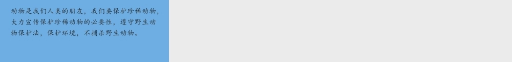三年级科学下册 第1单元 生物资源 第四课 种类繁多的动物课件1 冀人版-人教版小学三年级下册自然科学课件