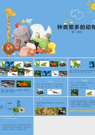 三年级科学下册 第1单元 生物资源 第四课 种类繁多的动物课件1 冀人版-人教版小学三年级下册自然科学课件