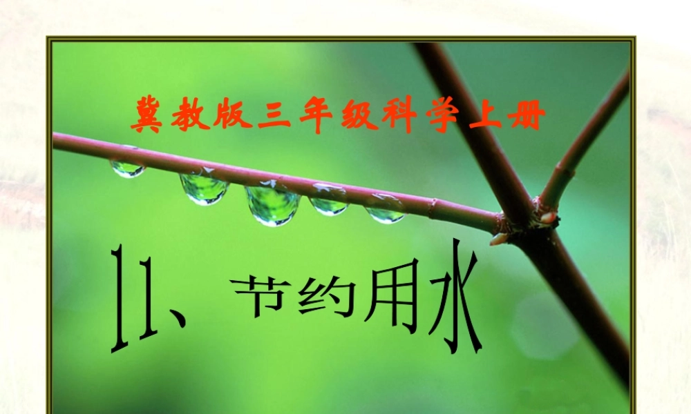 三年级科学上册 第11课 节约用水课件3 冀教版-冀教版小学三年级上册自然科学课件