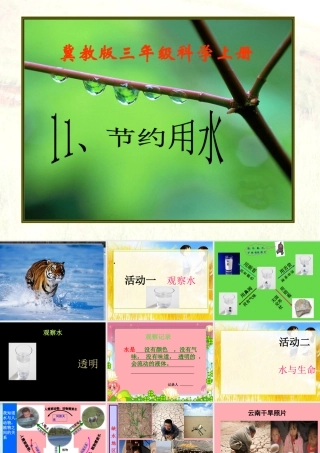 三年级科学上册 第11课 节约用水课件3 冀教版-冀教版小学三年级上册自然科学课件