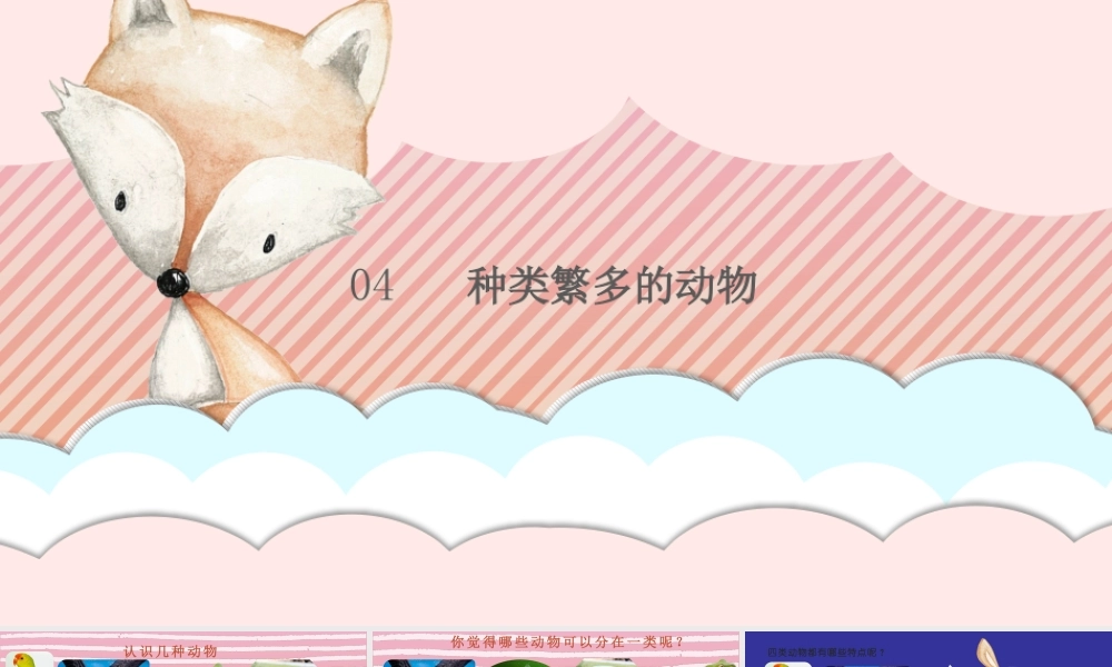 三年级科学下册 第1单元 生物资源 第四课 种类繁多的动物课件2 冀人版-人教版小学三年级下册自然科学课件