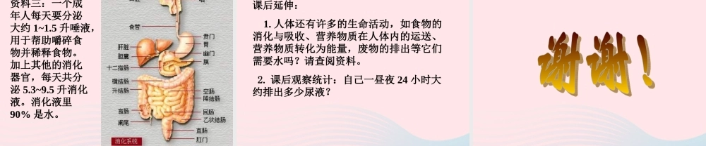 三年级科学上册 4.1《水》课件（1） 教科版-教科版小学三年级上册自然科学课件