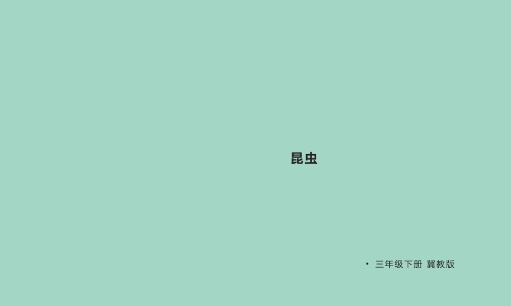 三年级科学下册 第1单元 生物资源 第五课 昆虫课件1 冀人版-人教版小学三年级下册自然科学课件