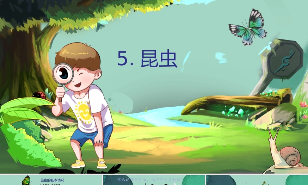 三年级科学下册 第1单元 生物资源 第五课 昆虫课件2 冀人版-人教版小学三年级下册自然科学课件